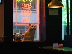 -星林居酸辣米线餐厅
