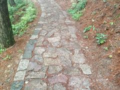 -四明山国家森林公园