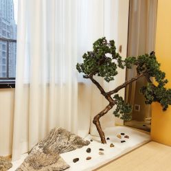 -JNK皮肤管理中心