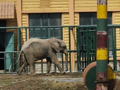 -哈尔滨北方森林动物园