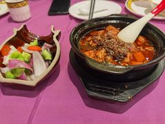 -陈麻婆豆腐(春熙店)