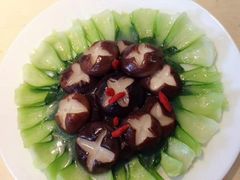 -葱妈母婴医护月嫂中心(浦东店)