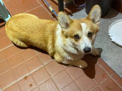 -肥朵食堂(带梦胡同店)