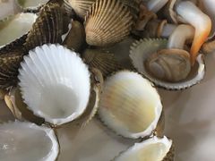 -蓝湾碧波·老字号·疍家非遗海上餐厅