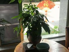 -新盈光·旗舰店(海曙苍松路店)