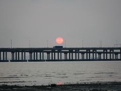 -宝安西湾红树林湿地公园