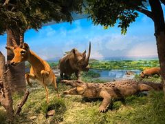 -国家自然博物馆