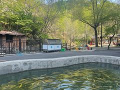 -可心烤鱼