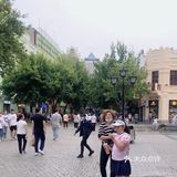 走马观花 无欲无感