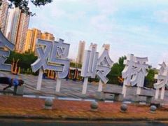 -金鸡岭桥头公园