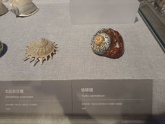 -中国（海南）南海博物馆