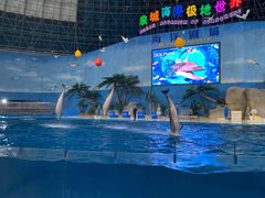 -泉城欧乐堡海洋极地世界