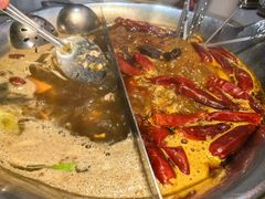 -渝大龙重庆火锅(温泉月亮湾店)