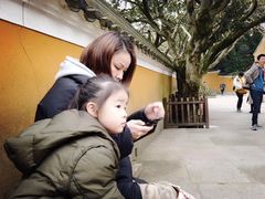 -普陀山风景区-佛顶山