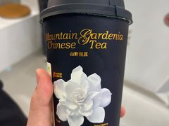 -树夏(成都招商大魔方店)