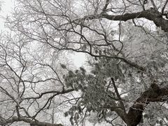 -洛阳白云山景区