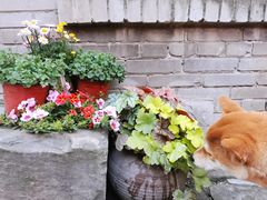 -山城巷传统风貌区