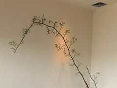 -小茶闲舍·观景商务茶馆(广州塔店)