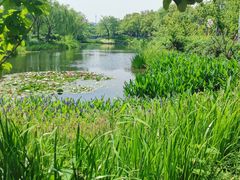 -金银湖国家城市湿地公园