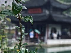 -西园寺