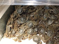 -欢乐牧场海鲜烤肉自助(牡丹园店)