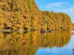 -上海海湾国家森林公园