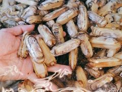 -高佳庄·舟山海鲜(海景旗舰店)