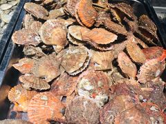 -良友·海鲜青岛菜(五四广场店)