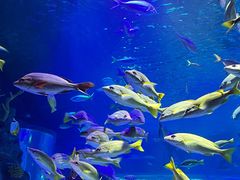 -沈阳海洋探索中心