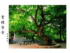 -青檀寺景区