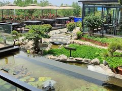 -蘇河湾·新鲁菜·泰山宴(泰山店)