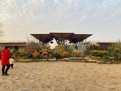 -上海长兴岛郊野公园