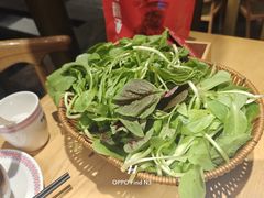 -老凯俚酸汤鱼(多彩城店)