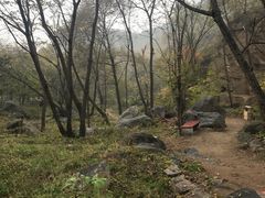 -大岭沟猕猴桃谷风景区