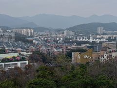 -福道