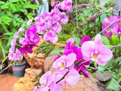 -国家植物园南园