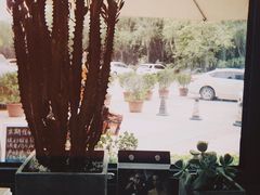 -隹木咖啡馆(宝龙广场店)