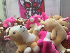 -卡拉卡拉漫温泉汗蒸