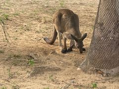 -秦皇岛野生动物园