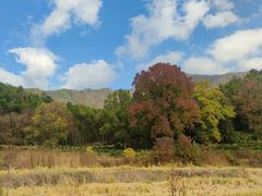 -塔川景区