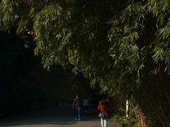 -四川农业大学(雅安校区)