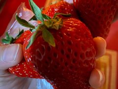 -韩盛·盛江山自助料理(奥体万达店)