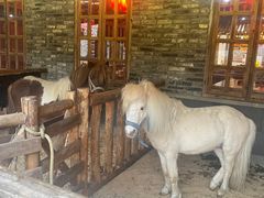 -巴倒烫陆派火锅山庄(南山总店)