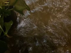 -邈墨茶馆(凤起路店)