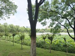 -艾溪湖湿地公园