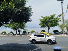 -野菌皇海景野生菌火锅(滨海大道店)