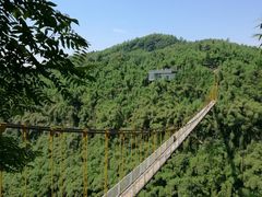 -川西竹海景区