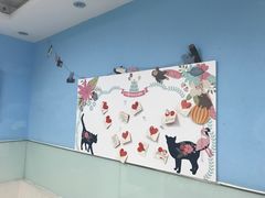 -纳吉亚猫专科动物诊疗中心(蒋宅口分院)