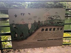 -九龙公园