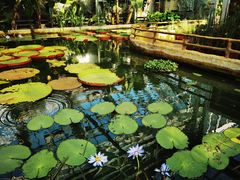 -国家植物园南园